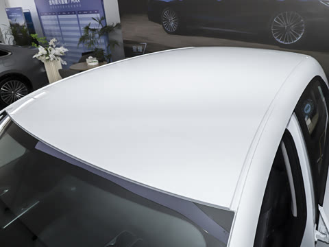 2026�� 310km ������