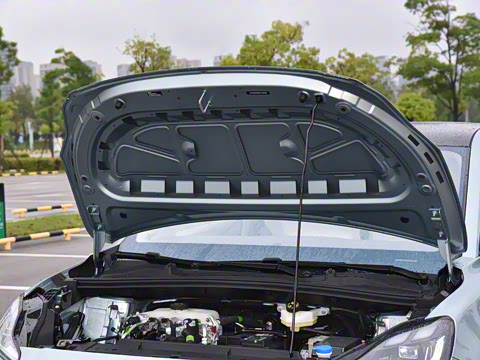 2026�� 530 ��Ȥ��