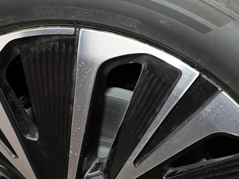 2025�� ������