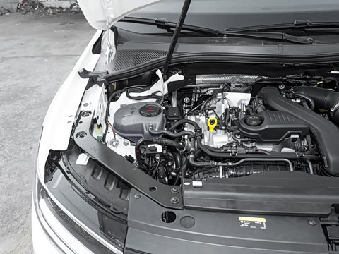 2026�� ���ڿ� 300TSI �Զ��������ڰ�