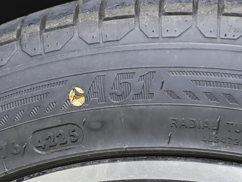 2026�� 565 ������