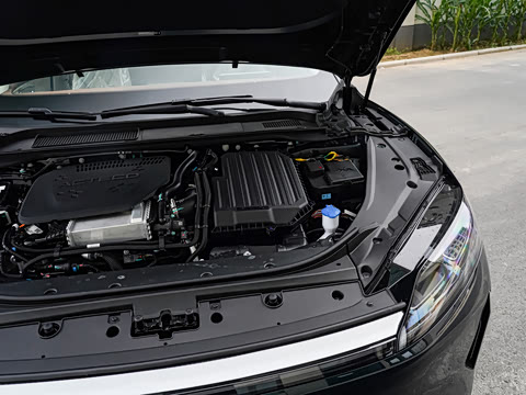 2025�� 260��������������