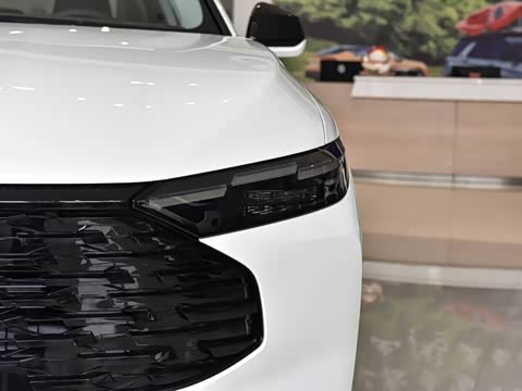 2026�� 1.5T EcoBoost ������