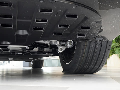 2026�� Max ˫��������