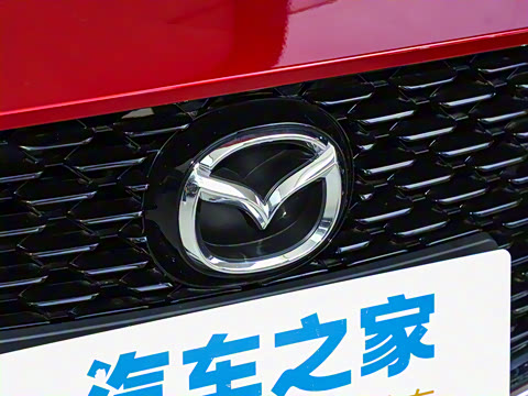 2025�� 2.0L �Զ����Ű�