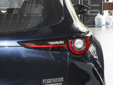 2025�� 2.0L �ֶ�������