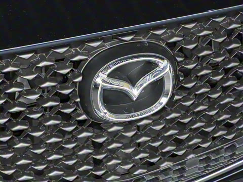 2025�� 2.0L �ֶ�������