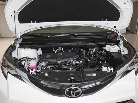 2026�� 2.5L ˫��������������