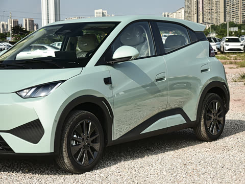 2026�� 305km ���ɰ�