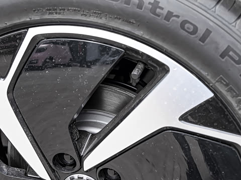 2025�� DM-i 170�캽Plus��