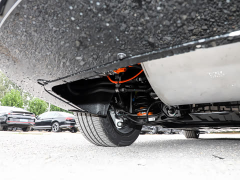 2025�� ������