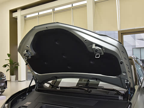 2026�� Max������