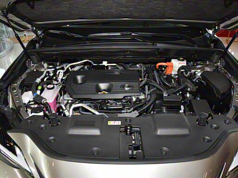 2025�� 400h+ PRIME