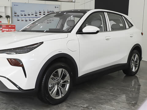 2025�� 565km �����