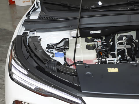 2025�� 565km �����