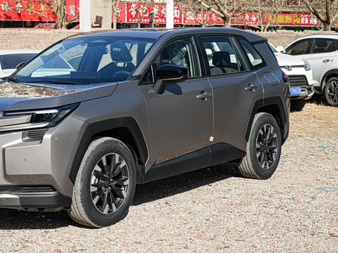 2026�� 2.0L ����������