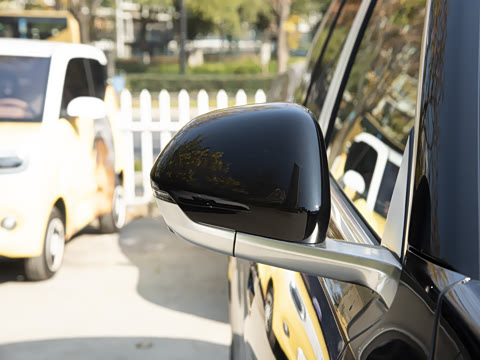 2025�� ���� Max+ ���������� 