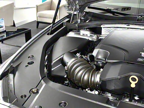 2023�� 25T ������