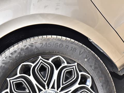 2023�� ��ʨϵ�� 2.0T �� 7��