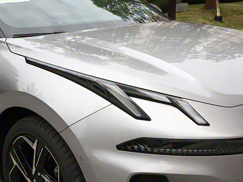 2026�� 126������ Max