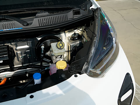 2026�� 271km ϲ����