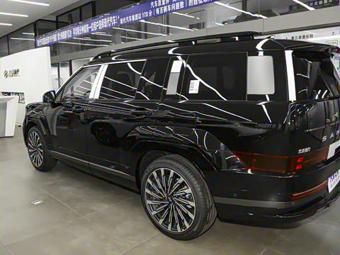 2024�� 2.0T ���ͼ�Pro