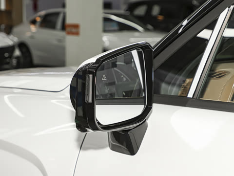 2026�� 2.5T Calligraphy ���ͼ� 6��