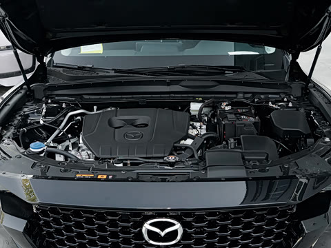 2026�� 2.5L ���а�