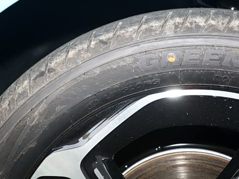 2025�� �Ǽݰ� 505���˰�