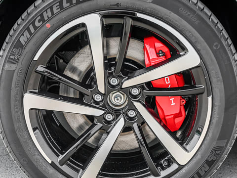 2025�� FREE+ ����Ǭ����