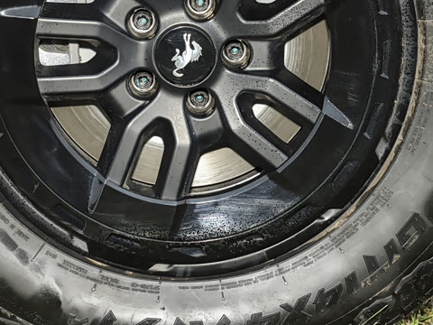 2026�� ��̲���̰�