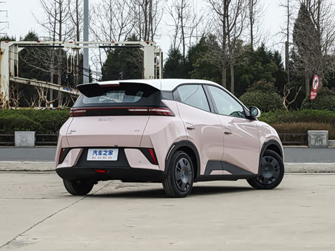 2025�� �Ǽݰ� 305km ������