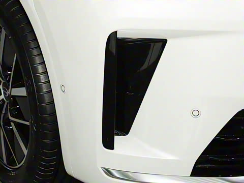 2025�� Ǭ�� Max 6��