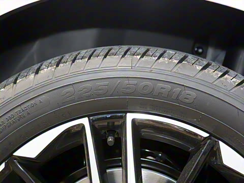 2025�� EV 545KM������