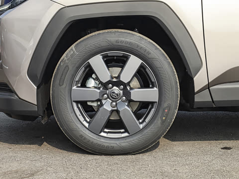 2026�� ˫�� 2.5L ����������