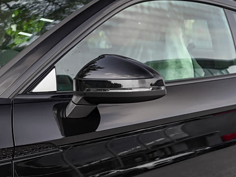 2024�� RS 5 2.9T Coupe ȼ���