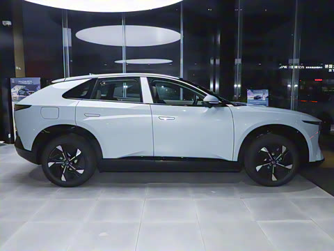 2025�� ����600 Pro