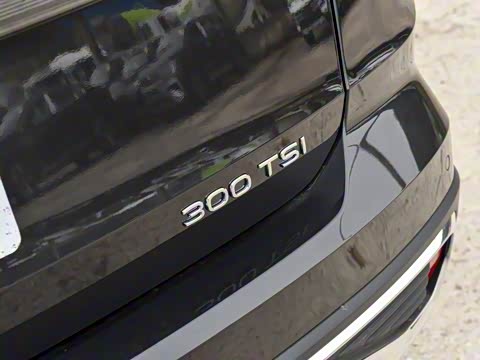 2026�� 300TSI �������°�