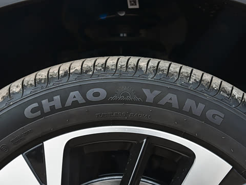 2026�� DM-i 220KM��Խ��