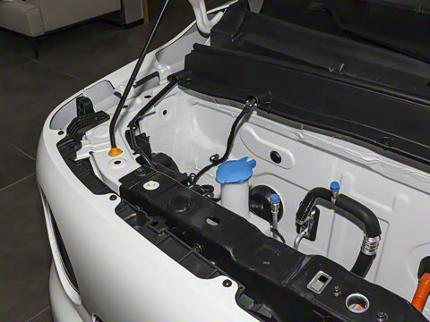 2025�� ������