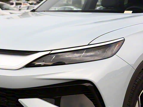 2026�� DM-i 133KM��Խ��