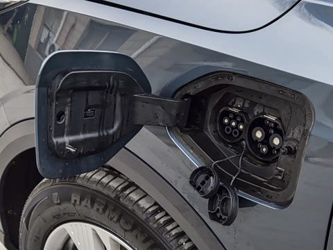 2025�� 445km ���ð�