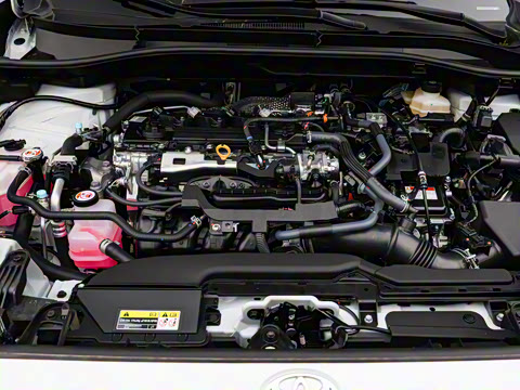 2026�� 2.0L ���ܵ��˫�� ���Ȱ�