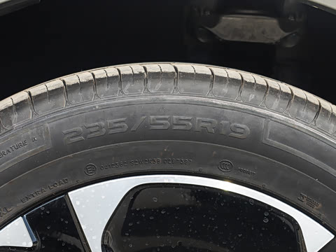 2025�� ���� Pro