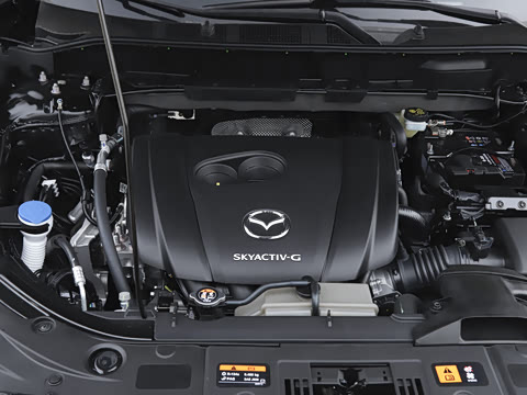 2025�� 2.0L �Զ�����������