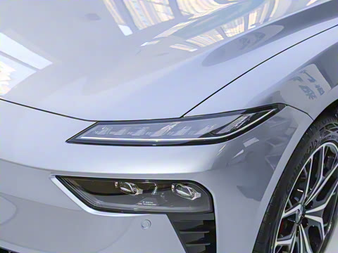 2025�� ���� 230ProѲ����