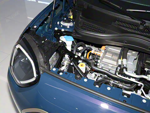 2025�� ʢװ�貽�޶���