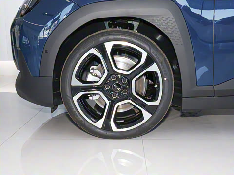 2025�� ʢװ�貽�޶���