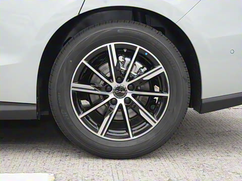 2025�� DM-i 150KM������