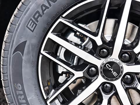 2026�� DM-i 210KM�콢��